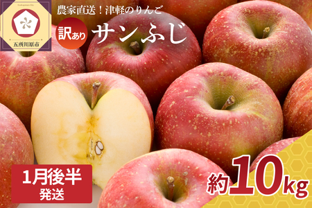 【2026年1月後半発送】【訳あり】 りんご 約10kg サンふじ 青森産