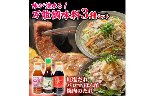 【創業90年・大阪 老舗地ソースメーカー】 万能 調味料 3種 アソート セット ( ポン酢 / 焼肉のたれ / 紅塩だれ ) 和泉食品 パロマ 3本 詰め合わせ 地ソース お取り寄せ グルメ ドレッシング 無添加 鍋 焼肉 料理 松原市