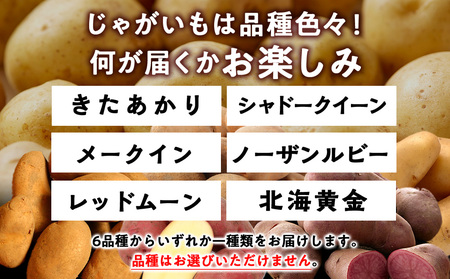 【2025年10月上旬以降順次発送】秋野菜 詰め合わせ 6種 計5kg　サツマイモ・かぼちゃ・じゃがいも・にんじん・他おたのしみ 秋野菜