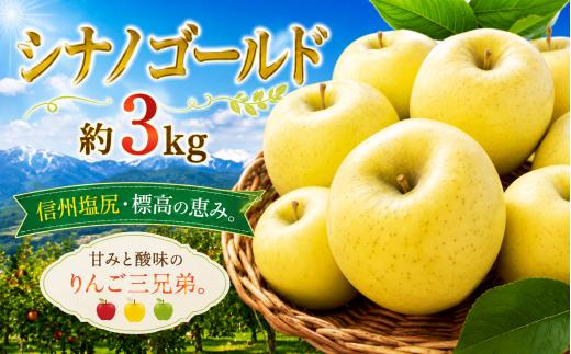 【2026年先行予約】信州塩尻産 シナノゴールド 約3kg | 先行受付 果物 くだもの フルーツ シナノゴールド りんご 林檎 りんご3兄弟 信州 長野県 塩尻市