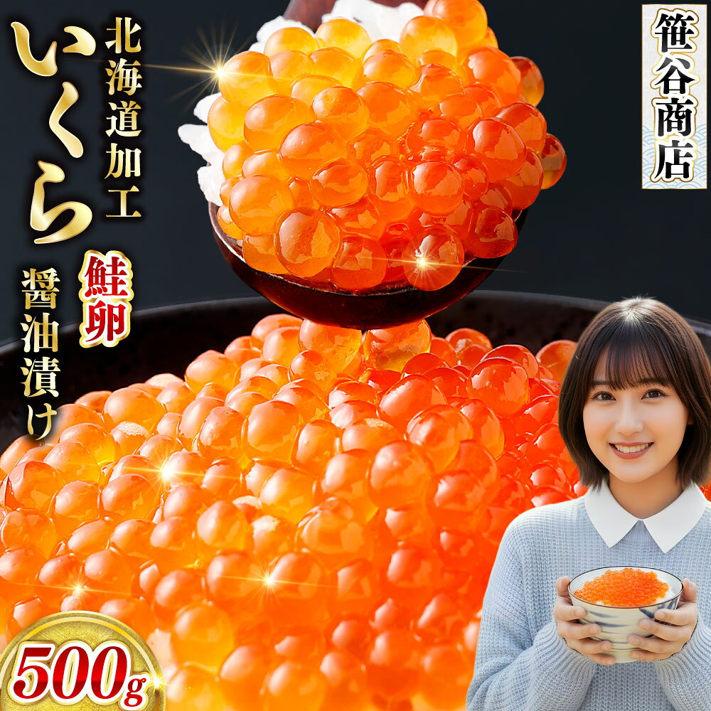 【ふるさと納税】【復刻】 笹谷商店 いくら醤油漬け 500g 釧之助 笹谷商店 海鮮丼 いくら イクラ 鮭 魚卵 厳選 魚介類 ご飯のお供 逸品 醤油漬け イクラ丼 海鮮 海鮮丼 秘伝のたれ 冷凍 人気 パック 小分け 個包装 北海道 釧路市 ふるさと納税 送料無料