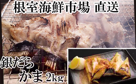 A-14151 銀だらカマ2kg