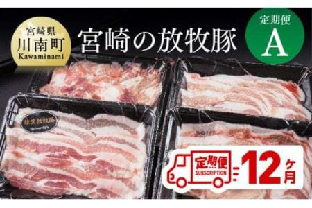 【定期便】宮崎の放牧豚豚肉定期便A12ヶ月定期便【 肉 豚 豚肉 国産 豚肉 九州産 豚肉 宮崎県産 豚肉 スライス 豚肉ステーキ 焼肉 豚しゃぶ  豚肉 焼肉 豚かつ カツステーキ 豚肉 全12回 豚肉定期便 送料無料 豚肉 】