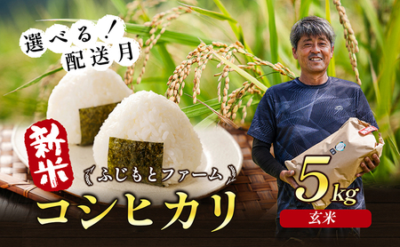 令和6年産 ふじもとファームの新米【コシヒカリ（玄米）5kg】 令和7年1月配送