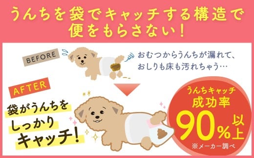 うんぽパンツ Lサイズ 55個入り