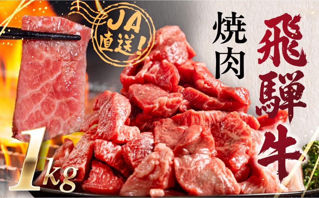 
                  【人気急上昇】牛肉 訳あり 飛騨牛 焼肉用 切り落とし肉 1kg 25000円 訳アリ 焼き肉用 切り落とし 切落し 牛肉 肉 バーベキュー BBQ セット 和牛 焼肉 部位おまかせ ごちそう 贅沢飛騨牛  JA ひだ 大容量 人気 おすすめ アウトドア  国産 冷凍  駆け込み前の お申込なら すぐ届く すぐ届きやすい [S201] 
                