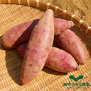 干し芋 紅はるか 1.2kg 山田のややこ -おいものこ- バラエティーセット | 干し芋 干し芋 干し芋 干し芋 干し芋