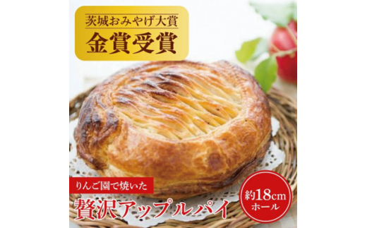 りんご園で焼いた ぜいたくアップルパイ 1ホール【1605392】