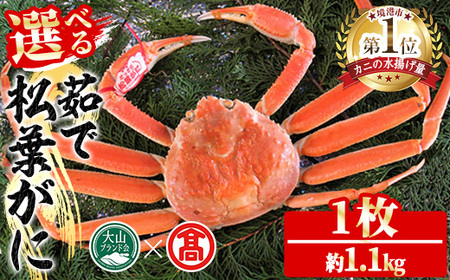 ＜数量限定！11月～3月上旬発送予定＞茹で松葉がに(1枚・約1.1kg) 国産 魚介 海鮮 カニ かに 蟹 松葉ガニ 松葉蟹 ズワイガニ ずわいがに ボイル 冷蔵 【T-DI1】【大山ブランド会】