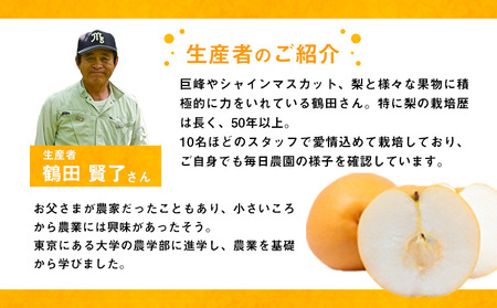 【先行予約】梨 鶴田農園 梨予約 豊水 あきづき 甘太 のいずれかお届け 約2kg 5～6玉 【日付指定不可】 熊本県 荒尾市産 和梨 《8月下旬-9月下旬頃出荷》