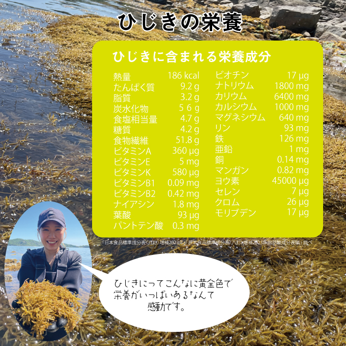 海藻漁師が自宅で飲むお茶 天然 海藻 無添加商品  焙煎 ひじき茶 約2g×14袋入り×2箱セット ティーバッグ 鉄分豊富 焙煎ひじき茶 瀬戸内ぽたり 2種のみ比べ お試しセット 自然派女子のキレイ習