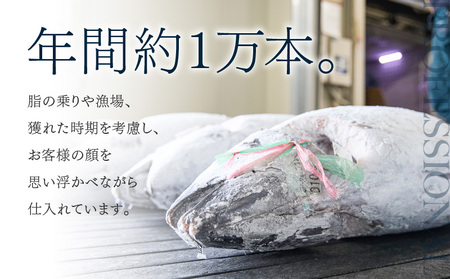 とにかくまぐろの質に自信あり！問屋直送！天然三崎まぐろ 1kg 中トロ赤身　M020-011