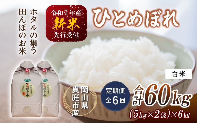 ＜定期便全６回＞ 令和7年新米 真庭市産 ひとめぼれ 白米 10kg(5kg×2袋)×６回（定期便）/ お米 岡山県 真庭市 白米 米 ひとめぼれ 人気 2025年産 【tkns-tkb005】