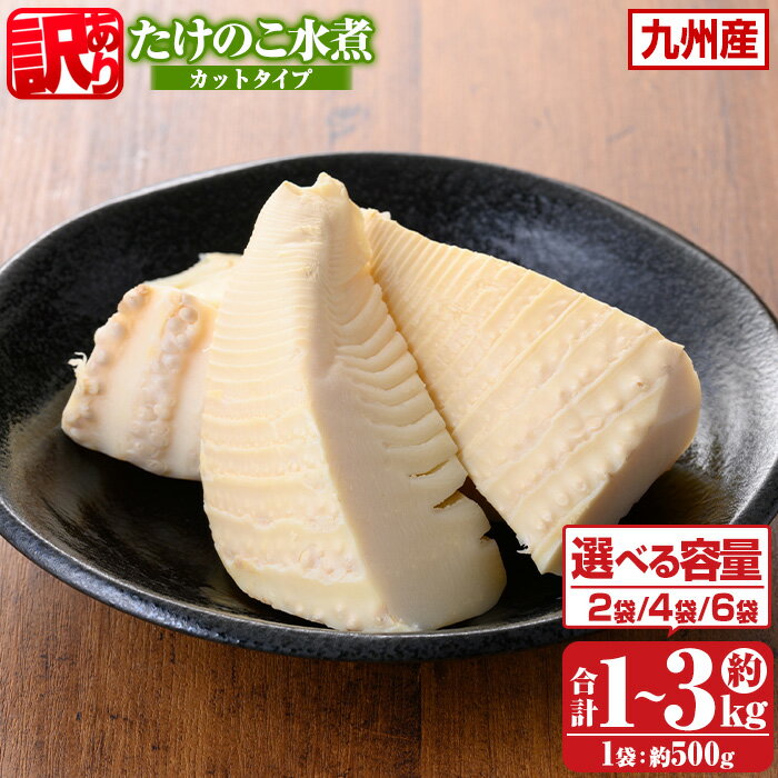 【ふるさと納税】〈選べる容量・配送回数！〉≪訳あり・毎月数量限定≫たけのこ水煮カットタイプ(500g×2袋(計約1kg)/4袋(計約2kg)/6袋(計約3kg)) 鹿児島 国産 水煮 たけのこ 筍 タケノコ 煮物 炊き込みご飯 常温保存 常温【北薩農産加工場】