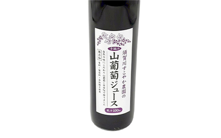 山葡萄 100％ 須賀川すこやか農園 山葡萄ジュース 500ml 1本 ブドウ ぶどう ジュース 飲み物 果汁飲料 飲料 F7X-0811