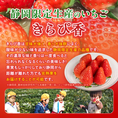 【抜群の美味しさの静岡限定品種:きらぴ香 いちご 280g×4パック】【配送不可地域：離島・北海道・沖縄県・東北・中国・四国・九州】