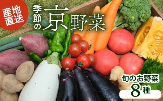 【産地直送】旬のお野菜詰め合わせ 8種類 ( 京野菜 野菜 お野菜 やさい セット 野菜セット 詰め合わせ 詰め合わせセット 季節 旬 旬野菜 産地直送 栄養 安心 新鮮 おすすめ きよしファーム 南丹市 南丹 京都府 京都 )