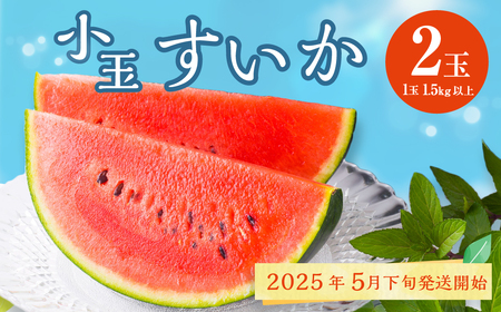 熊本県産 小玉すいか 2玉 スイカ 果物 フルーツ くだもの 西瓜【2025年5月下旬～6月下旬発送予定】