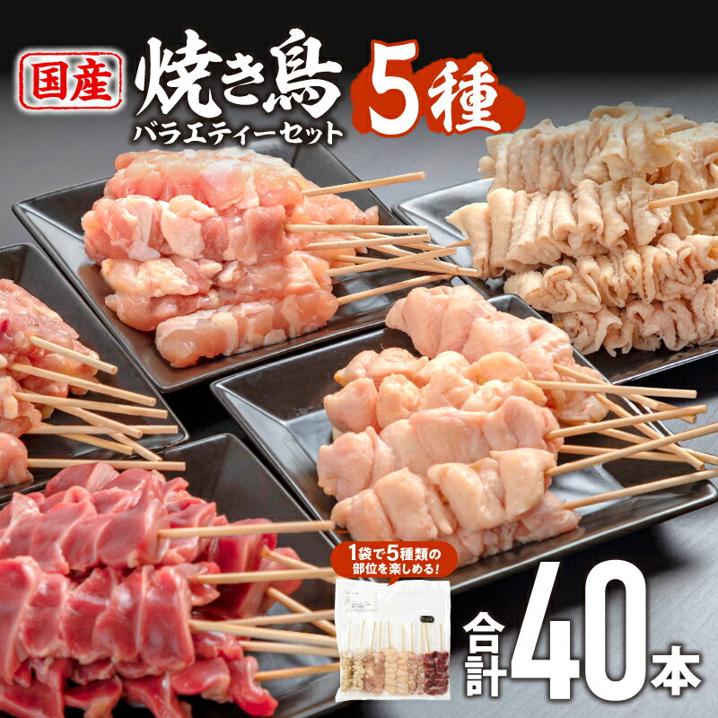 【ふるさと納税】【発送時期が選べる】若鶏の焼き鳥セット5種(40本)バラエティーセット 焼き鳥 串焼き セット 詰め合わせ もも せせり 皮 ぼんじり 砂肝 部位 国産 鶏肉 BBQ 若鶏 冷凍 焼鳥セット