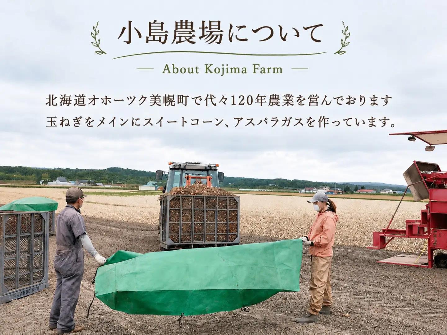 【精米】令和8年産 陸稲 北海道 ななつぼし 10kg 精米 白米 (品番:AW001)