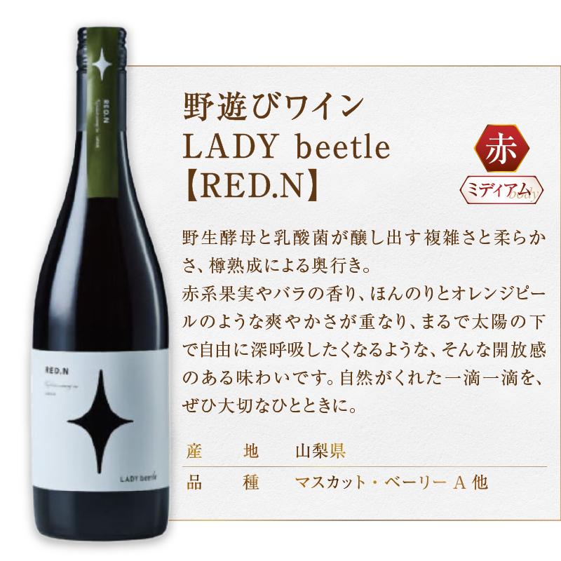 フジクレール 野遊びワイン LADY beetle【RED.N】【GREEN.N Sparkling】2本セット（MG）C5-677