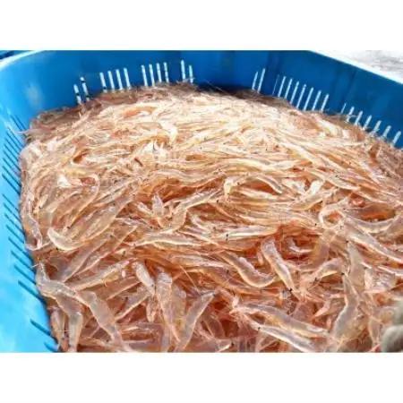 シロエビ殻付き150g×3p【配送不可地域：離島】【1764842】