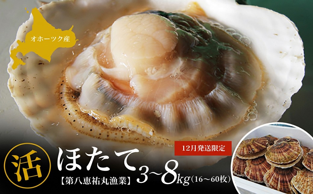 
                  【12月発送限定】オホーツク産 『活』 ほたて 選べる容量3kg～8kg【 ふるさと納税 人気 おすすめ ランキング 魚介類 貝 ほたて ホタテ 帆立 帆立貝柱 ホタテ貝柱 ほたて貝柱 新鮮 北海道 佐呂間町 送料無料 】 SRMN022-v
                