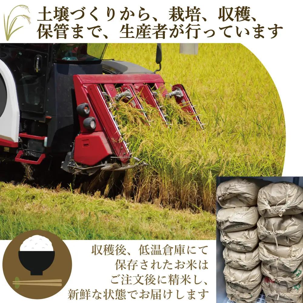 《令和7年産》福岡県大川市産 ブランド 米「 元気つくし 」 5kg×2個　計10kg | お米 米 こめ 精米 白米 ライス ブランド米 ごはん ご飯