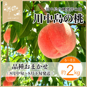 【先行予約】川中島の桃 約2kg 品種おまかせ  8月中旬～8月下旬発送予定