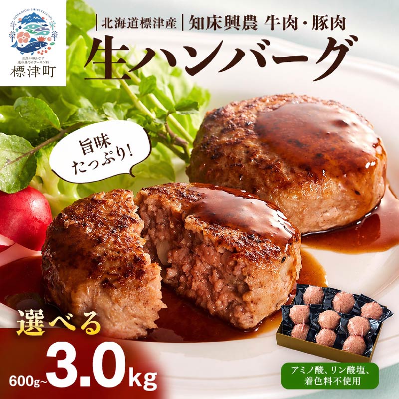 【ふるさと納税】 北海道産 生 ハンバーグ 選べる6~30個(3～15パック) (1パック 100g ×2 ) 国産 無添加 手作り 安心 おすすめ 保存料不使用 牛肉 豚肉 国産ハンバーグ 冷凍ハンバーグ 合いびき 合い挽き 北海道 標津町 興農ファーム【配送不可地域：離島】