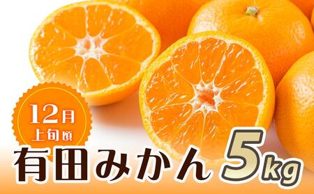 【魚鶴商店厳選】和歌山人気のフルーツ定期便（柿・みかん）【定期便全3回】