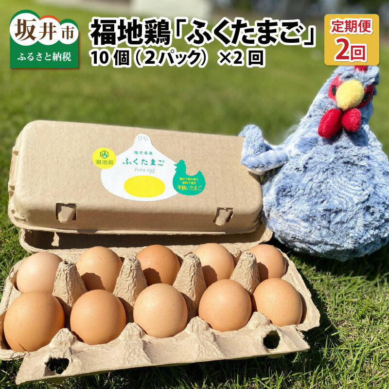 【ふるさと納税】定期便 毎月数量限定！ 平飼い福地鶏「ふくたまご」 10個 （2パック） × 2回【月2回お届け】国産 福井県産 卵