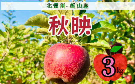 【先行予約】秋映（あきばえ）【約3ｋｇ(6〜10玉)】(7-A23-1)