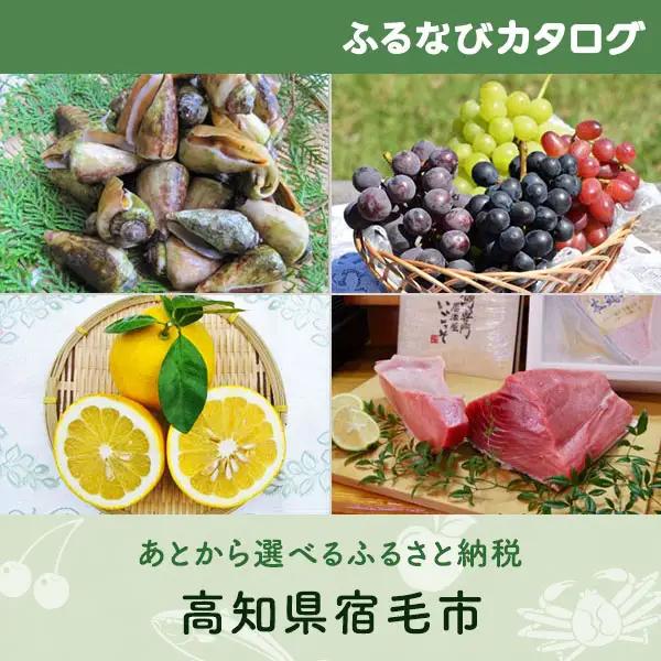 【有効期限なし！後からゆっくり特産品を選べる】高知県宿毛市カタログポイント