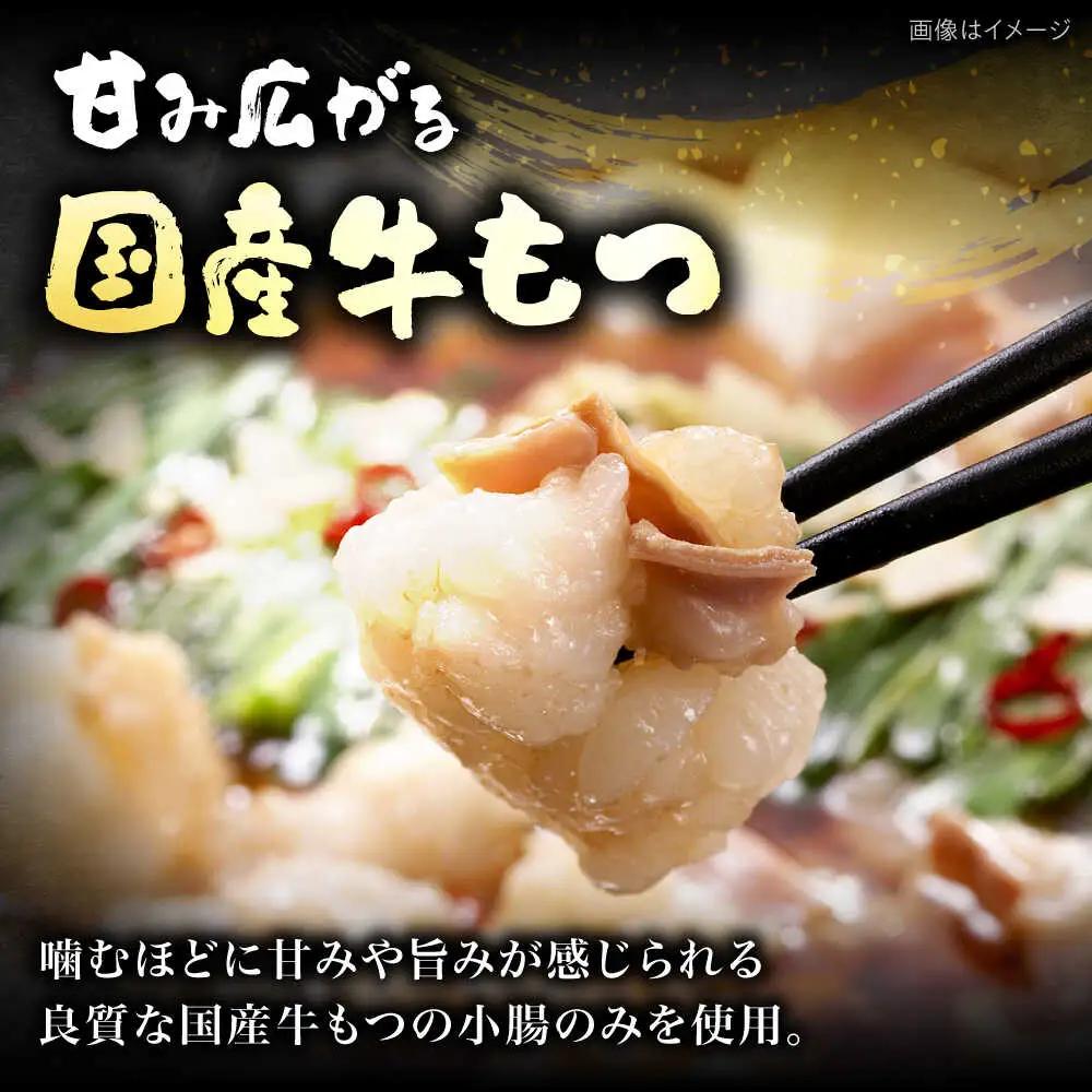 【ギフト用】 博多もつ鍋(醤油味)3人前 VEC008 もつ鍋  