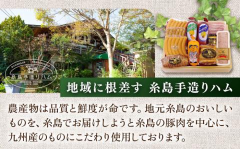 【全12回定期便】本場ドイツで連続金賞受賞！お試し食べきりセット【糸島手造りハム】 [AAC021]