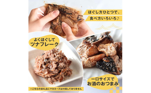 鰹ツナパウチ 100g×5袋セット 100グラム 国産 おにぎり つなまよ ツナマヨ ご飯 お弁当 魚 パスタ サラダ たんぱく質 タンパク質 おやつ かつお カツオ 鰹 藁焼き 