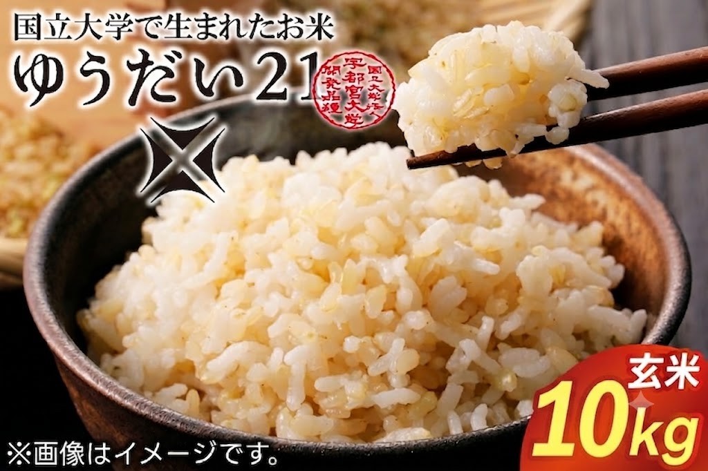 
                  梨屋さんが本気で作ったこだわりのお米　ゆうだい21玄米10kg｜栃木県 益子町 ふるさと納税 お米 米 10kg 玄米（DQ008-1）
                