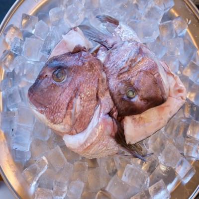 ふるさと納税 館山市 真鯛かぶと ハーフカット 2尾分×2パック 計2kg