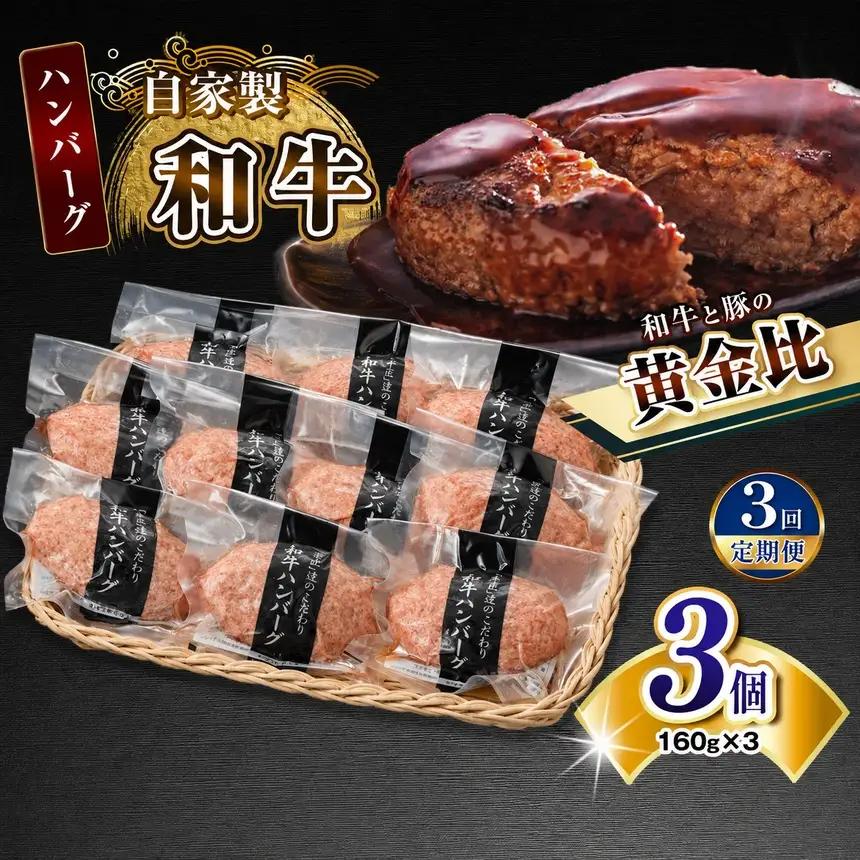 【定期便3回】自家製和牛ハンバーグ（生・冷凍個別真空）3個セット  | 牛肉 牛 肉 にく 和牛 かずさ和牛 国産 ハンバーグ 新鮮 オススメ 千葉県 君津市 きみつ