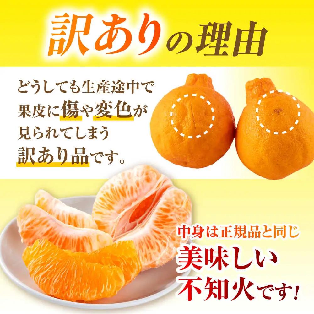 先行予約 訳あり 柑橘の王様 ハウス栽培 不知火 デコポン 約3kg（7～12玉）[ZBN008]