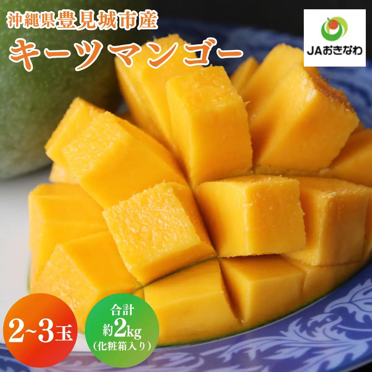 【先行受付】【2027年発送】豊見城産キーツマンゴー約2kg（化粧） AE015