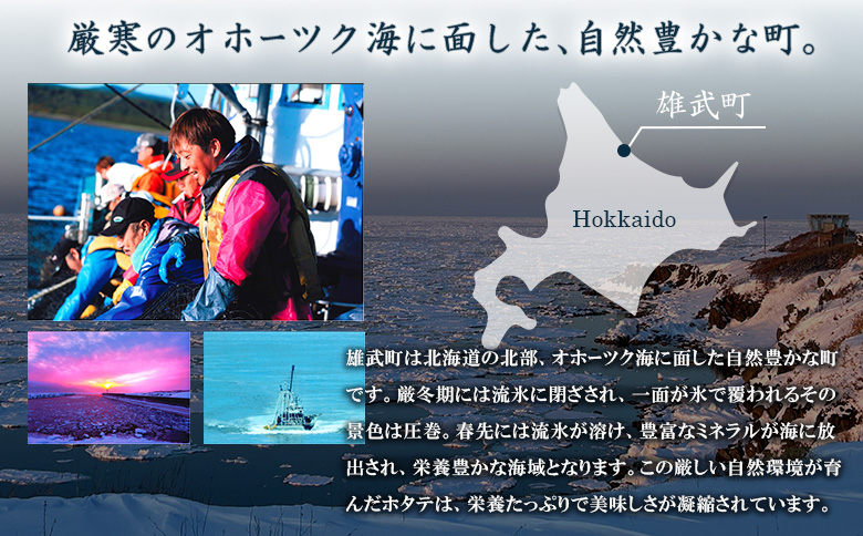 北海道雄武町産ほたて貝柱 中小混合 200g×6 (冷凍) 使い切りパック【07135】