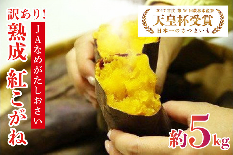 
                  【訳あり】行方かんしょ「紅こがね」さつまいも約5kg（洗い・不揃い・C品）｜さつまいも 芋 わけあり 訳あり 焼芋 やきいも 紅こがね 茨城県 行方市 人気 送料無料(AE-108)
                