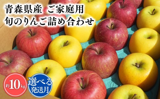 
                  ＜選べる発送月＞【訳あり】旬のりんご詰め合わせ10㎏【宮川商店 青森りんご 平川市産】11月～4月発送 青森 平川 りんご リンゴ 林檎 フルーツ 
                