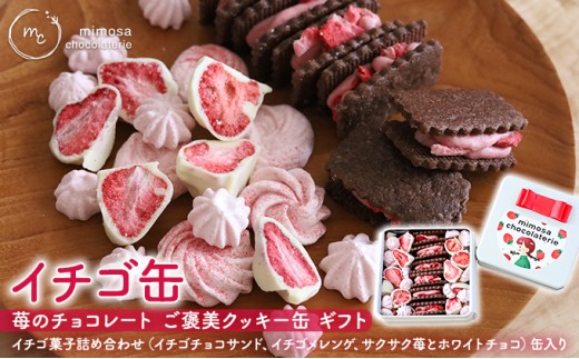 
                  イチゴ缶 苺のチョコレート ご褒美クッキー ギフト セット いちごクッキー いちごチョコ メレンゲクッキー 苺 クッキー チョコ クッキー缶 可愛い お菓子 おやつ 焼菓子 焼き菓子 静岡県 浜松市 [№5786-5270]
                
