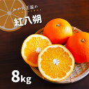 【ふるさと納税】 「 みかん王国 」 紅八朔 8kg | 果物 フルーツ 柑橘 八朔 みかん ミカン 玉名 熊本 旬 送料無料