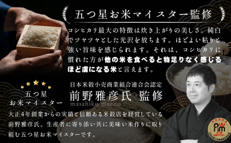 【 最短 翌日発送 】 茨城県産 コシヒカリ 10kg ( 5kg ×2)  五つ星 お米マイスター 監修 こしひかり 国産 こめ コメ 米 精米 すぐ発送 人気 美味しい ランキング ふるさと納税 