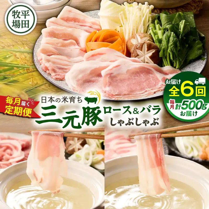 【 全6回 毎月 定期便 】 日本 の 米育ち 平田牧場 三元豚 ロース 250g ・ バラ しゃぶしゃぶ ロース 250g T036-T02-02 定期 肉 お肉 にく 豚 豚肉 ブタ ぶた 鍋 お鍋 黒豚 冷凍 バークシャー種 特別品種 便利 パック おかず 夕食 美味しい おいしい ジューシー ふるさと納税 北海道 苫小牧市 おすすめ ランキング プレゼント ギフト