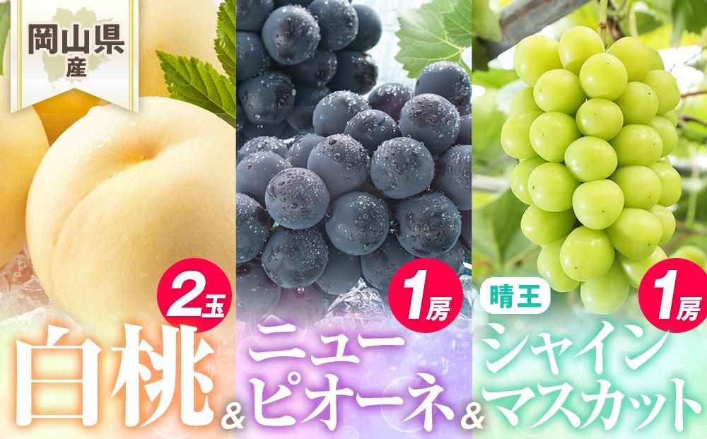 桃 ぶどう 2027年 岡山県産 詰合/白桃2玉(1玉220g以上)・ニューピオーネ1房(480g以上)・シャインマスカット『晴王』1房(480g以上) 化粧箱入り
